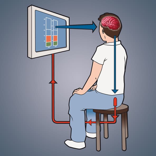 Biofeedback nasıl çalışır — beden sinyalleri ekranda geri bildirim olarak gösterilir